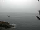 ./images/koeye/fitz-hugh/20180829/fitz-hugh20180829_072502.jpg