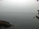 ./images/koeye/fitz-hugh/20180829/fitz-hugh20180829_073502.jpg