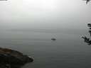 ./images/koeye/fitz-hugh/20180829/fitz-hugh20180829_084001.jpg
