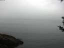./images/koeye/fitz-hugh/20180829/fitz-hugh20180829_091501.jpg