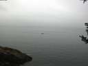 ./images/koeye/fitz-hugh/20180829/fitz-hugh20180829_092001.jpg
