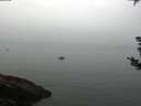 ./images/koeye/fitz-hugh/20180829/fitz-hugh20180829_092501.jpg