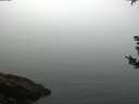./images/koeye/fitz-hugh/20180829/fitz-hugh20180829_094502.jpg