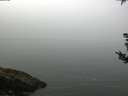 ./images/koeye/fitz-hugh/20180829/fitz-hugh20180829_095002.jpg