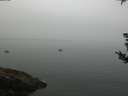 ./images/koeye/fitz-hugh/20180829/fitz-hugh20180829_095502.jpg