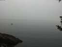 ./images/koeye/fitz-hugh/20180829/fitz-hugh20180829_100002.jpg
