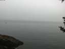 ./images/koeye/fitz-hugh/20180829/fitz-hugh20180829_100502.jpg