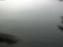 ./images/koeye/fitz-hugh/20180829/fitz-hugh20180829_114501.jpg