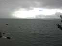 ./images/koeye/fitz-hugh/20180829/fitz-hugh20180829_140002.jpg