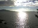 ./images/koeye/fitz-hugh/20180829/fitz-hugh20180829_174501.jpg