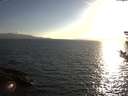 ./images/koeye/fitz-hugh/20180829/fitz-hugh20180829_190502.jpg
