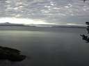 ./images/koeye/fitz-hugh/20180830/fitz-hugh20180830_074002.jpg