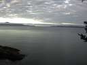./images/koeye/fitz-hugh/20180830/fitz-hugh20180830_074502.jpg