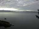 ./images/koeye/fitz-hugh/20180830/fitz-hugh20180830_075001.jpg
