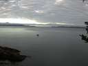 ./images/koeye/fitz-hugh/20180830/fitz-hugh20180830_075501.jpg