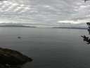 ./images/koeye/fitz-hugh/20180830/fitz-hugh20180830_091501.jpg
