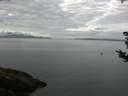 ./images/koeye/fitz-hugh/20180830/fitz-hugh20180830_092501.jpg