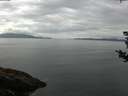 ./images/koeye/fitz-hugh/20180830/fitz-hugh20180830_102002.jpg
