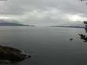 ./images/koeye/fitz-hugh/20180830/fitz-hugh20180830_114001.jpg
