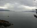 ./images/koeye/fitz-hugh/20180830/fitz-hugh20180830_114501.jpg