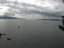 ./images/koeye/fitz-hugh/20180830/fitz-hugh20180830_145001.jpg