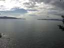 ./images/koeye/fitz-hugh/20180830/fitz-hugh20180830_154501.jpg