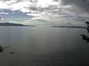 ./images/koeye/fitz-hugh/20180830/fitz-hugh20180830_155002.jpg