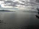 ./images/koeye/fitz-hugh/20180830/fitz-hugh20180830_160502.jpg