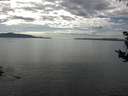 ./images/koeye/fitz-hugh/20180830/fitz-hugh20180830_161502.jpg