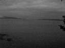 ./images/koeye/fitz-hugh/20180831/fitz-hugh20180831_060002.jpg