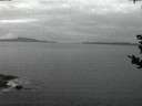 ./images/koeye/fitz-hugh/20180831/fitz-hugh20180831_060502.jpg