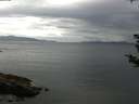 ./images/koeye/fitz-hugh/20180831/fitz-hugh20180831_084501.jpg