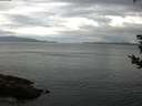 ./images/koeye/fitz-hugh/20180831/fitz-hugh20180831_085501.jpg