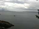 ./images/koeye/fitz-hugh/20180831/fitz-hugh20180831_095502.jpg