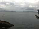 ./images/koeye/fitz-hugh/20180831/fitz-hugh20180831_101502.jpg