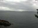 ./images/koeye/fitz-hugh/20180831/fitz-hugh20180831_120501.jpg