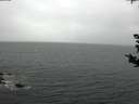 ./images/koeye/fitz-hugh/20180831/fitz-hugh20180831_152501.jpg