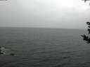 ./images/koeye/fitz-hugh/20180831/fitz-hugh20180831_153501.jpg