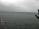 ./images/koeye/fitz-hugh/20180831/fitz-hugh20180831_164501.jpg
