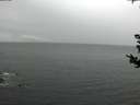 ./images/koeye/fitz-hugh/20180831/fitz-hugh20180831_165501.jpg