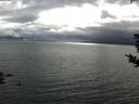 ./images/koeye/fitz-hugh/20180831/fitz-hugh20180831_175501.jpg