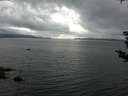 ./images/koeye/fitz-hugh/20180831/fitz-hugh20180831_184002.jpg