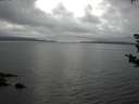 ./images/koeye/fitz-hugh/20180831/fitz-hugh20180831_184501.jpg