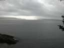 ./images/koeye/fitz-hugh/20180831/fitz-hugh20180831_205501.jpg