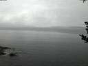 ./images/koeye/fitz-hugh/20180901/fitz-hugh20180901_060502.jpg