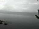 ./images/koeye/fitz-hugh/20180901/fitz-hugh20180901_061002.jpg