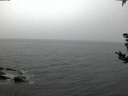 ./images/koeye/fitz-hugh/20180902/fitz-hugh20180902_062502.jpg