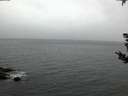 ./images/koeye/fitz-hugh/20180902/fitz-hugh20180902_064002.jpg