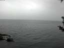 ./images/koeye/fitz-hugh/20180902/fitz-hugh20180902_072501.jpg