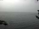 ./images/koeye/fitz-hugh/20180902/fitz-hugh20180902_074501.jpg